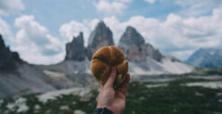 Alimentazione e Trekking: cosa mangiareAttrezzaturaTrekking.it