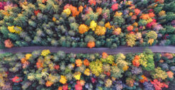 Camminare in autunno: consigli e attrezzaturaAttrezzaturaTrekking.it
