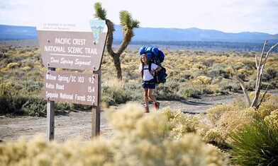 A piedi sul Pacific Crest Trail: 4.000 km di Natura e BellezzaAttrezzaturaTrekking.it